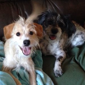 Meet your Posher, Cheri